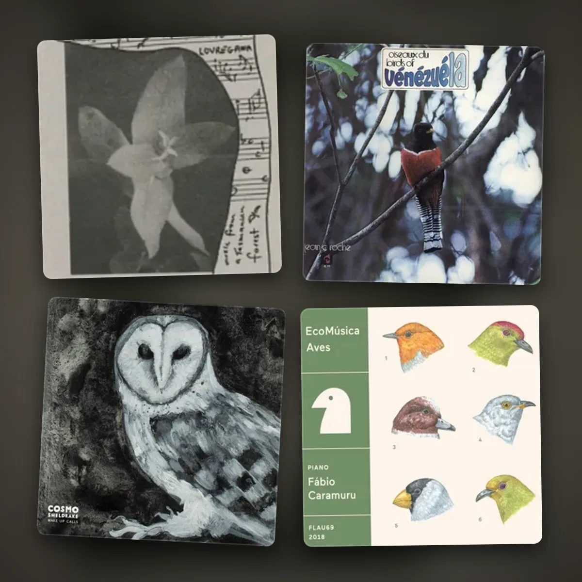bird sounds
