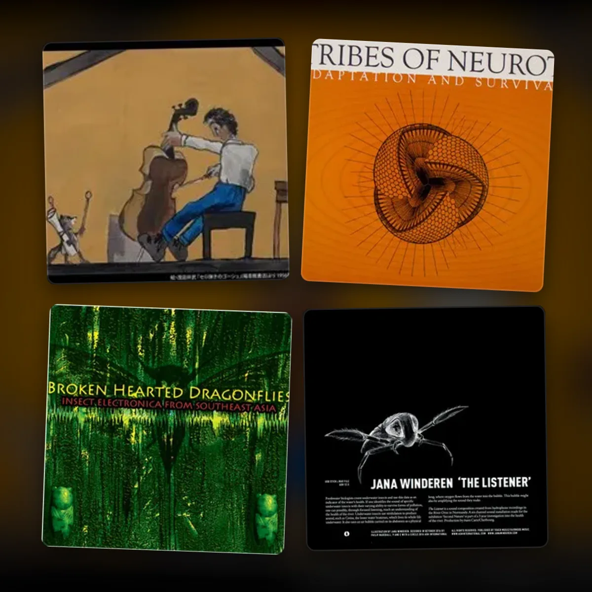 insect sounds