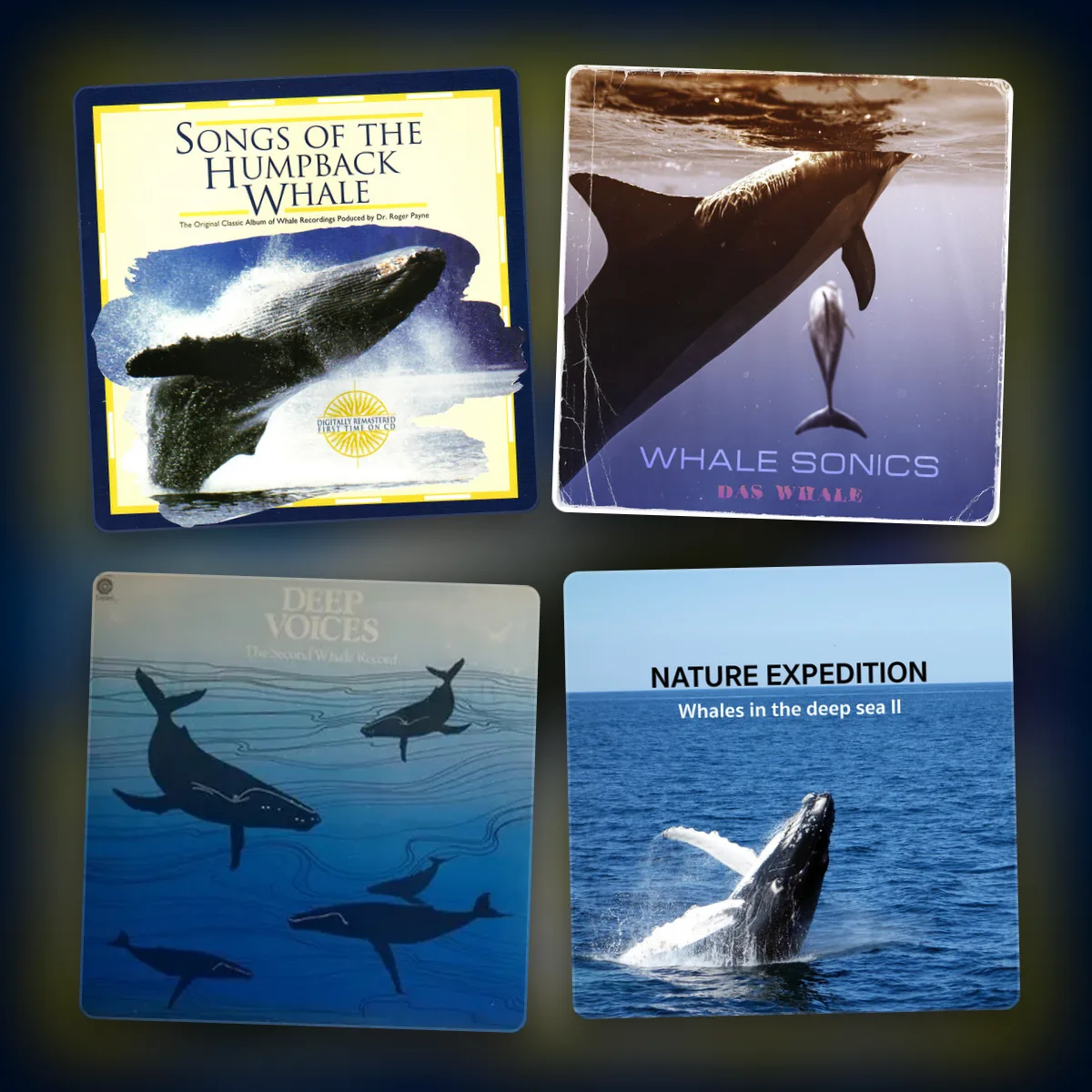 whale song