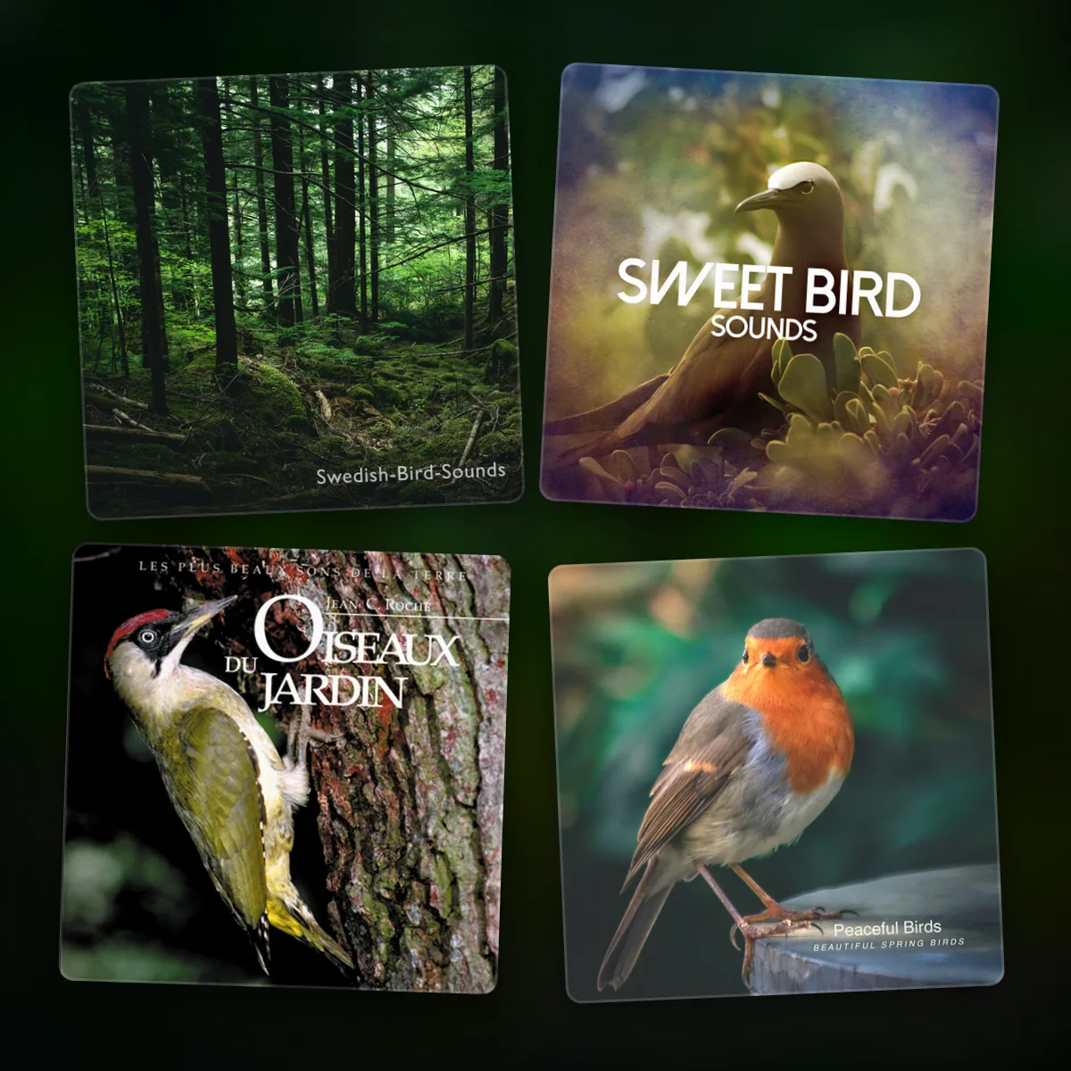 birdsong