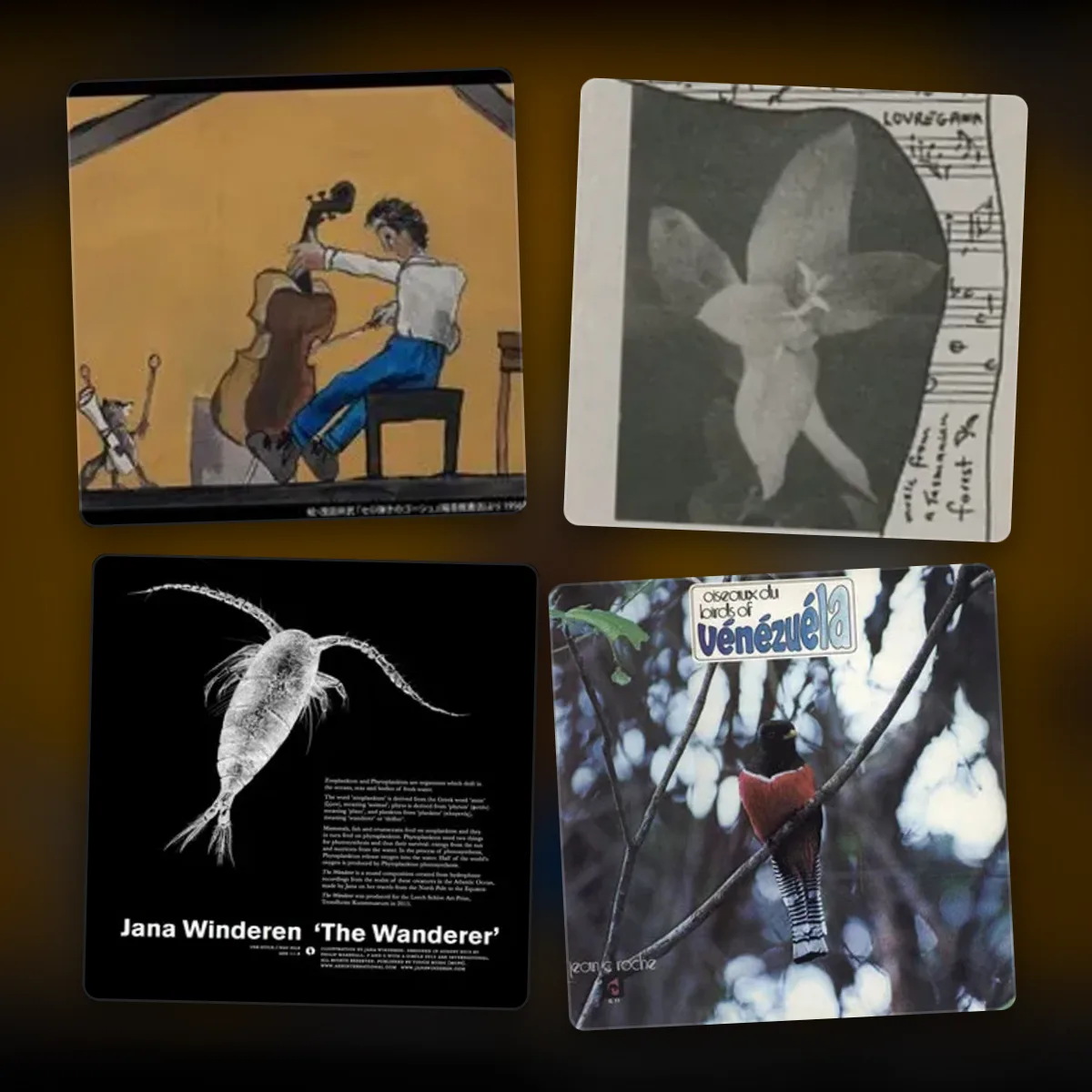 animal sounds